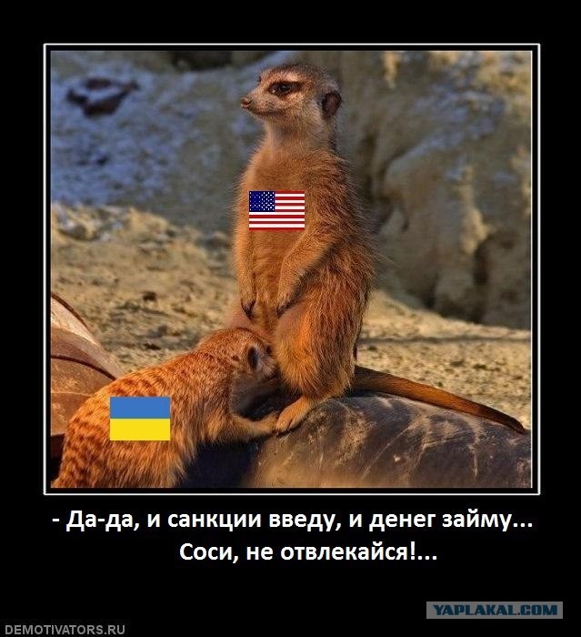 СБУ соообщает о задержании в Испании блогера Шария