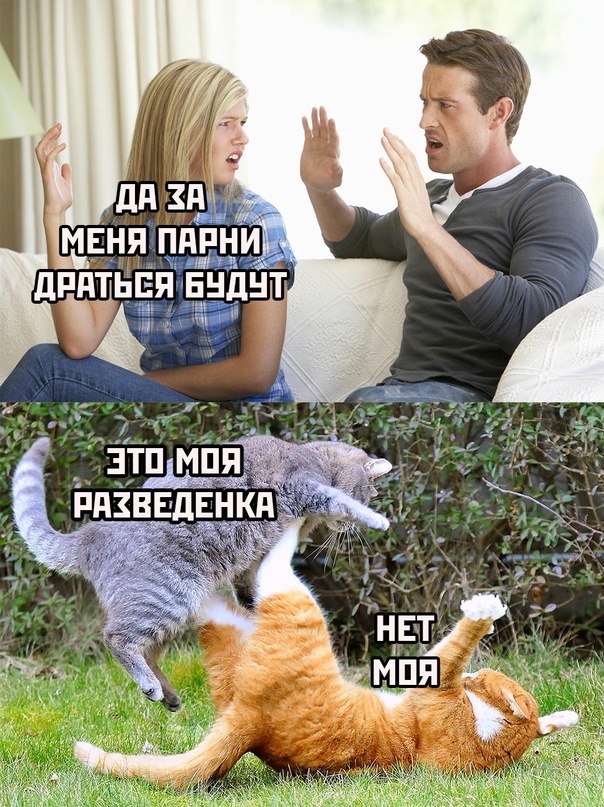 Картинки и мемы, всем хороших выходных