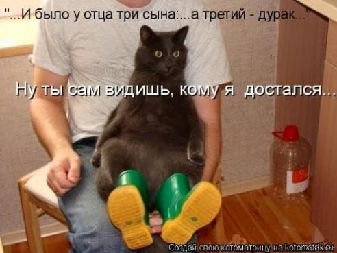 50 оттенков серого если самосвал баянов.  Vol.23