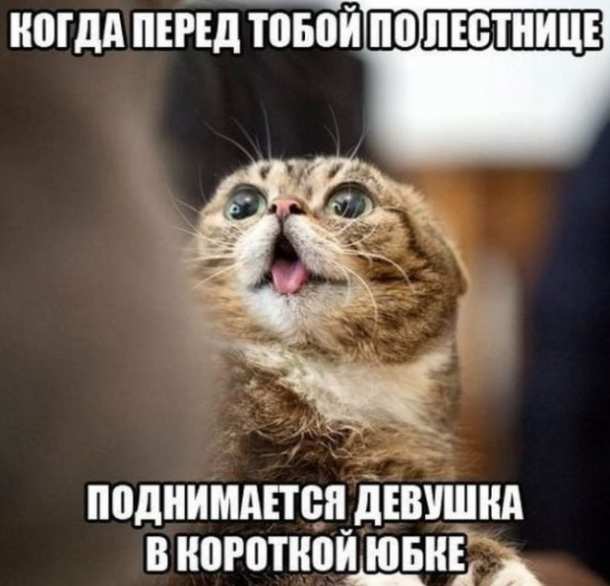 Картинки и мемы, всем хороших выходных