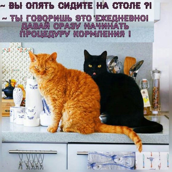 Так себе картинки 04.01.23
