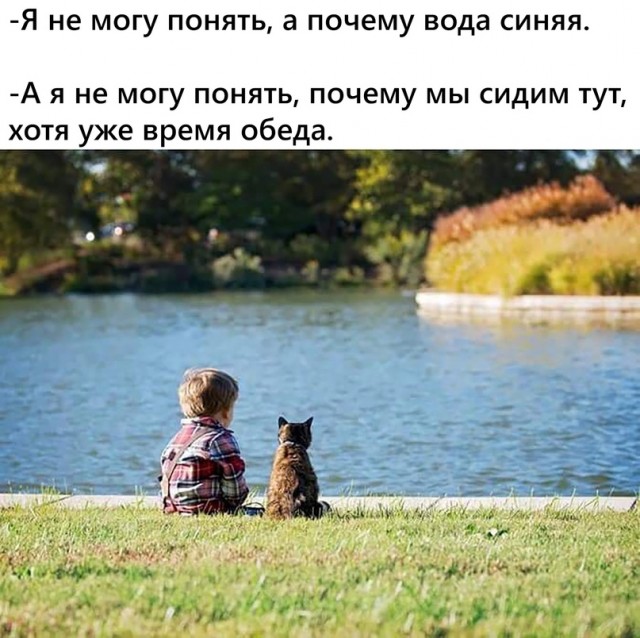 Картинки весёлые, вроде
