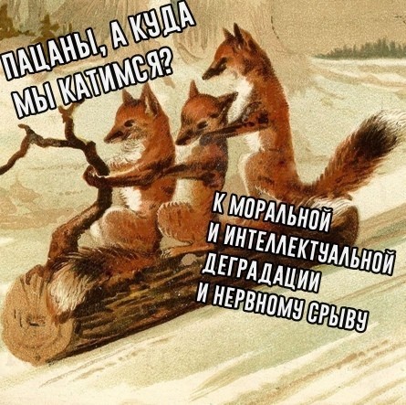 Чернила-7