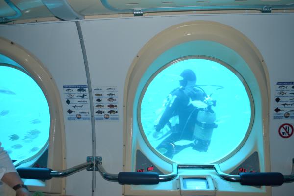 Хочу дачу на канарах!