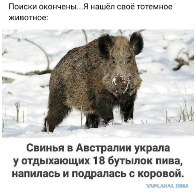 Так себе картинки 17.02.24