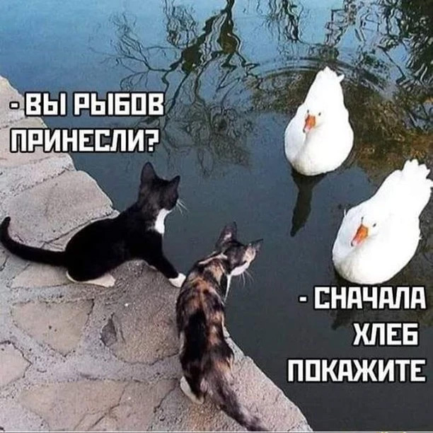 Охотник