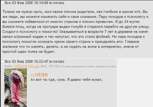 Мама Утка и ворона