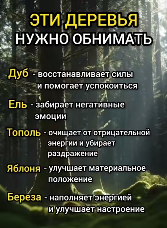 Прикольные и просто красивые картинки 09.08.2024