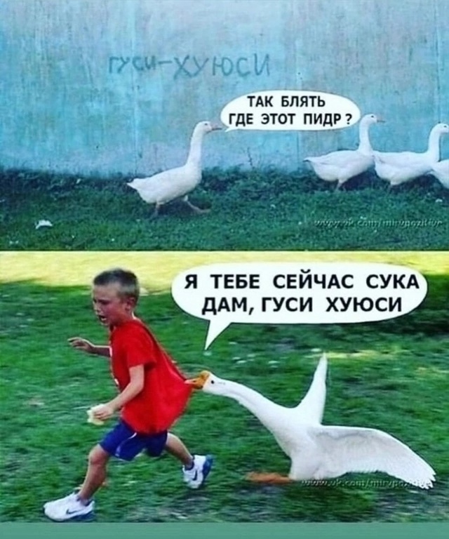 Так себе картинки 02.11.24