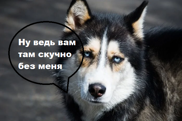 Интересные факты об Антарктиде