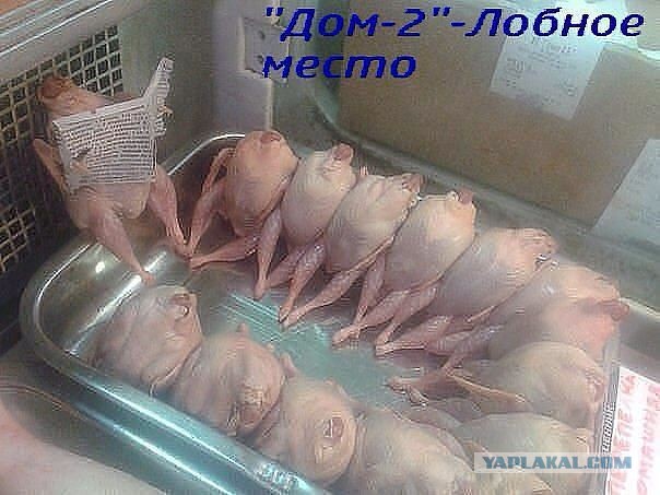 Жаль, что ножа не было под рукой