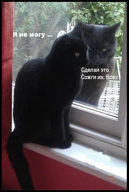 Завалялось тут случайно немного забавных картинок