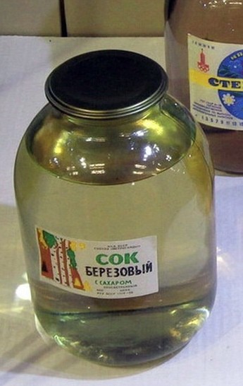 Законный сбор берёзового сока