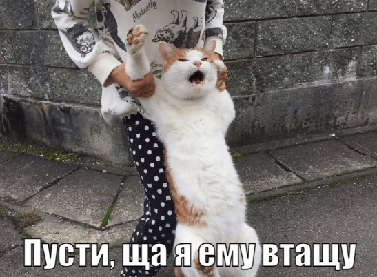 Налог на бездетность до 20% от дохода неженатых мужчин предложили ввести в России