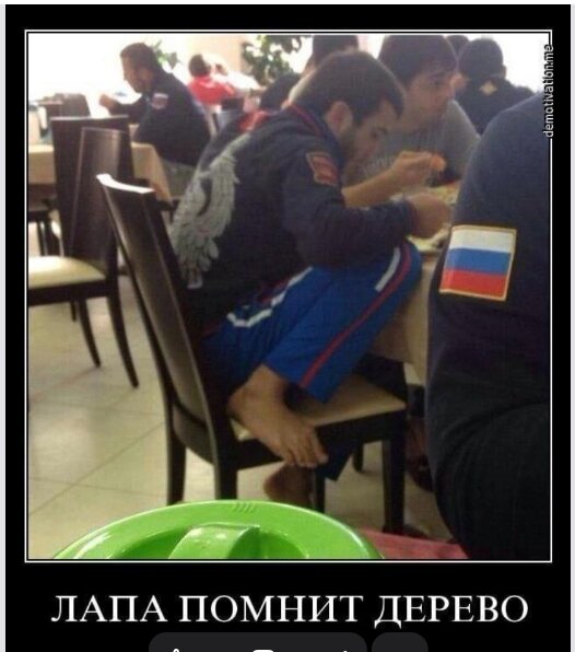 Почему они такие тупые?⁠⁠