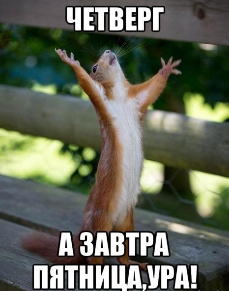 Веселое настроение в картинках (31.07.2025)