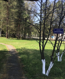 Литболталка