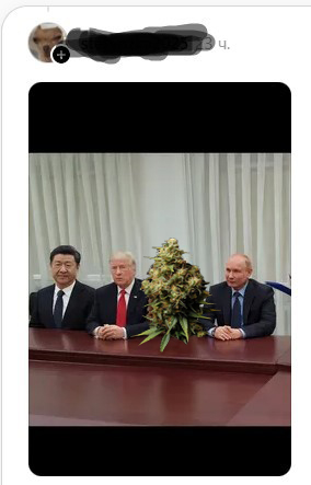 Чота ржу