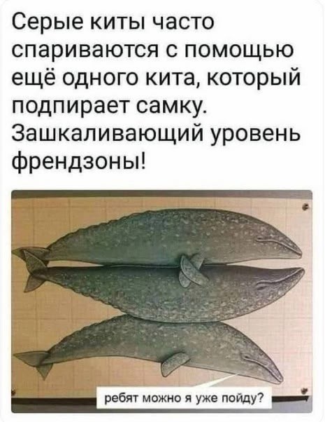 Четверговые картинки