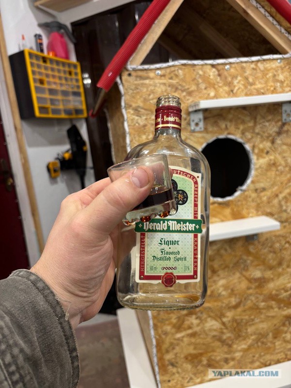 Котодом на четыре комнаты.