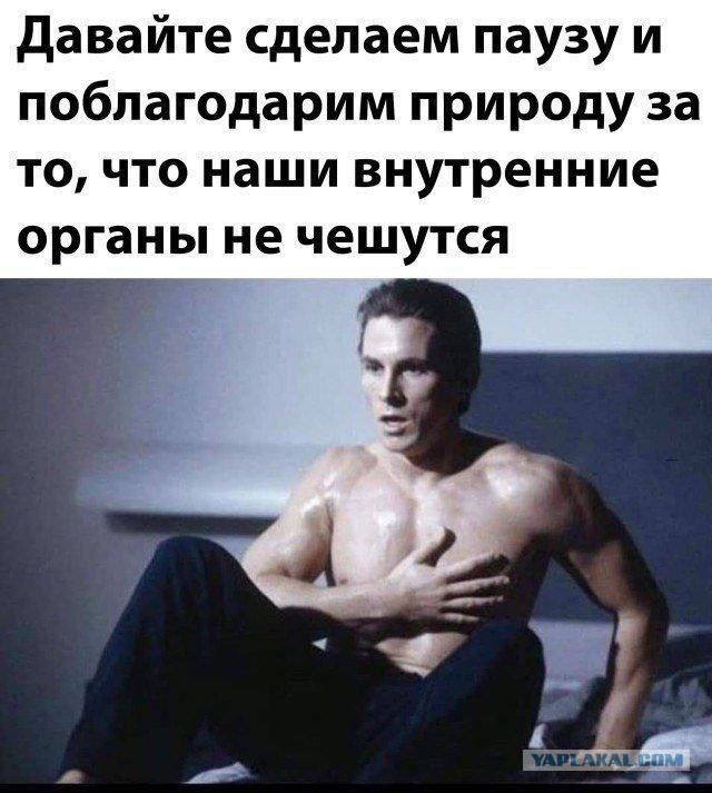 Картинки для деградации 119 (разной степени свежести)