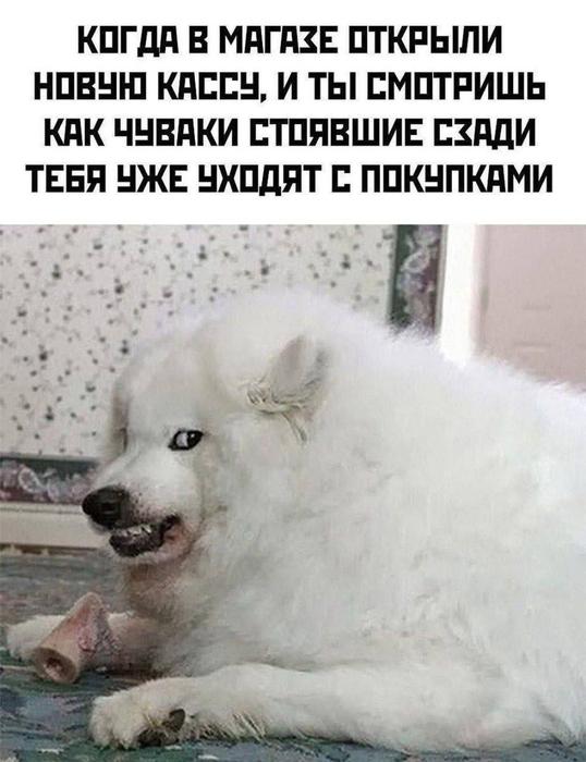Картинки для деградации 130 (разной степени свежести)