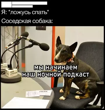 Картиночки, баянчики 20 февраля