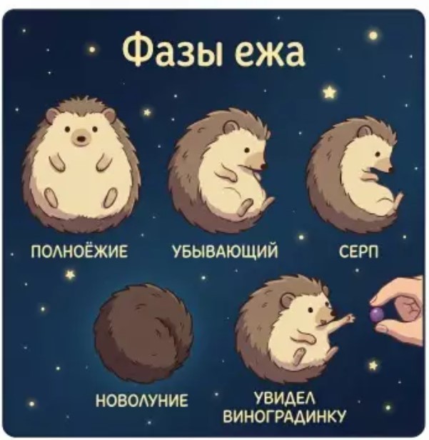 Картиночки, баянчики 17 июня