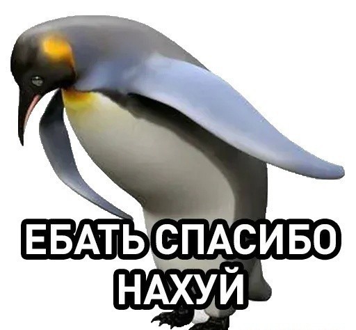 Александр Новак: Ситуация с бензином в России начала улучшаться, в ряде регионов наблюдается незначительный дефицит