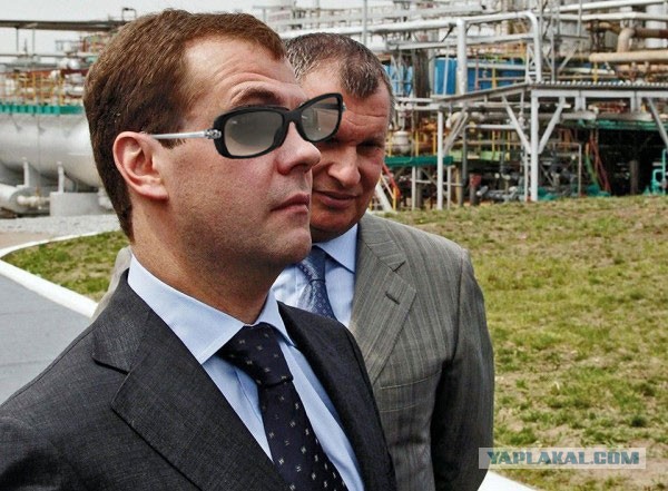 Медведев и очки