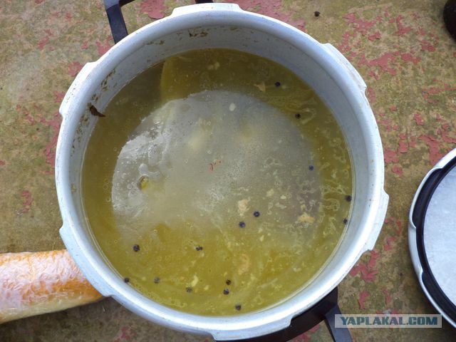 Рыбалка в Астрахани
