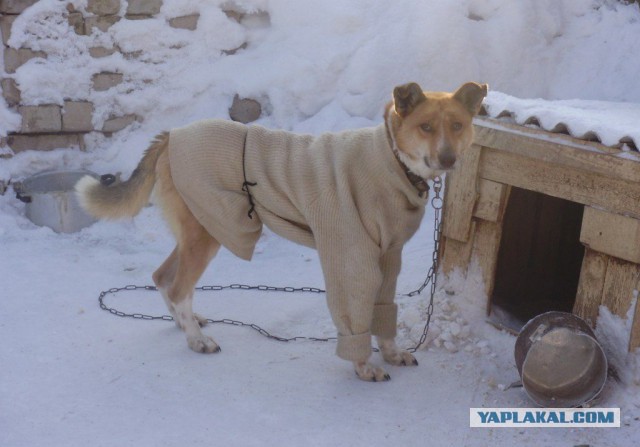 Все в порядке