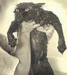 Давайте знакомиться