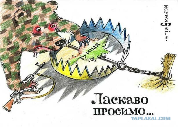 Вот и вся война,