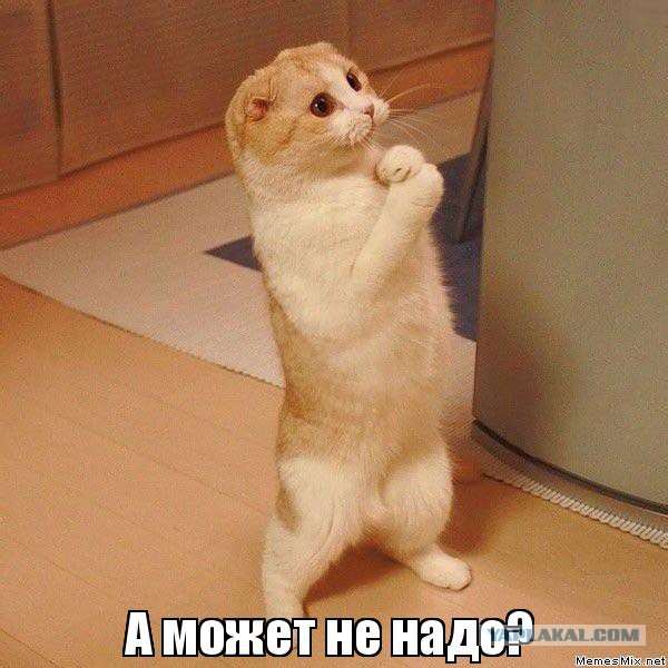 Кому юки отсыпать?