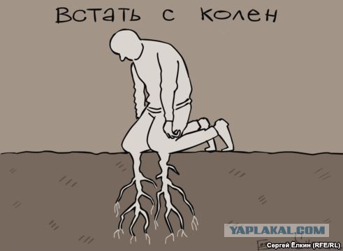 Я думаю русские проснулись