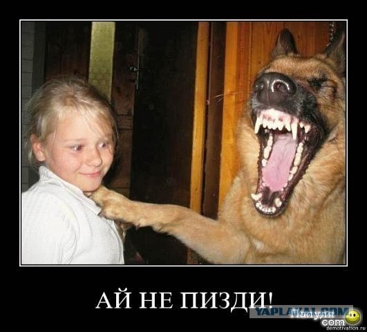 Горячие демотиваторы