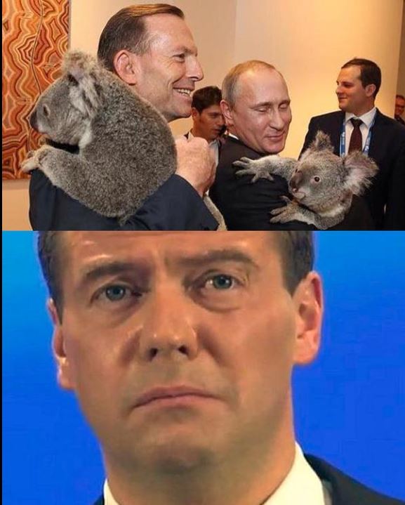 Путин и коала