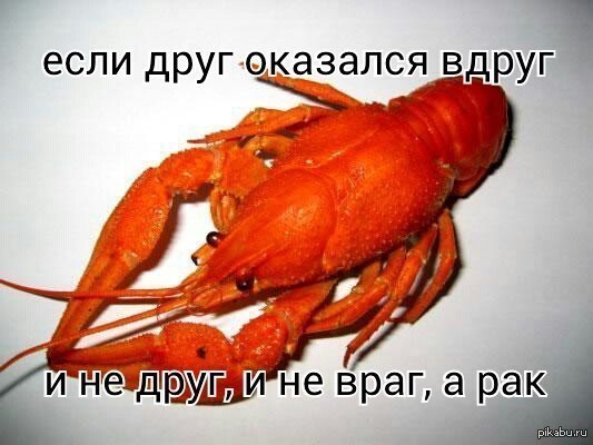 Курение не вызывает рак?