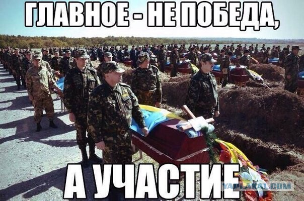 Весёлое из сети