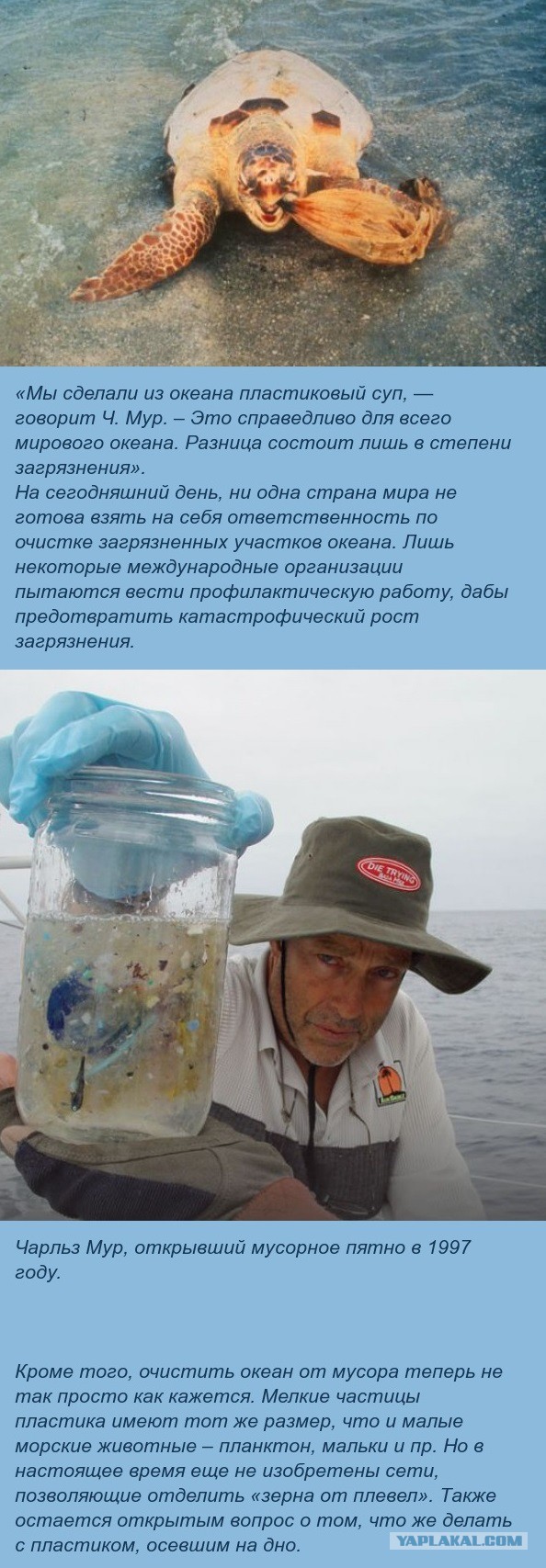 Что творится на острове посреди Тихого Океана