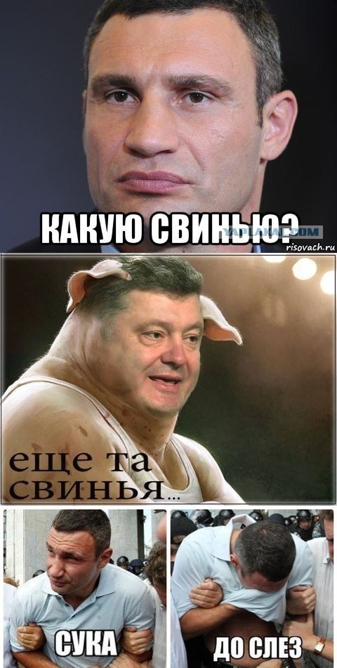 Свинью убили...