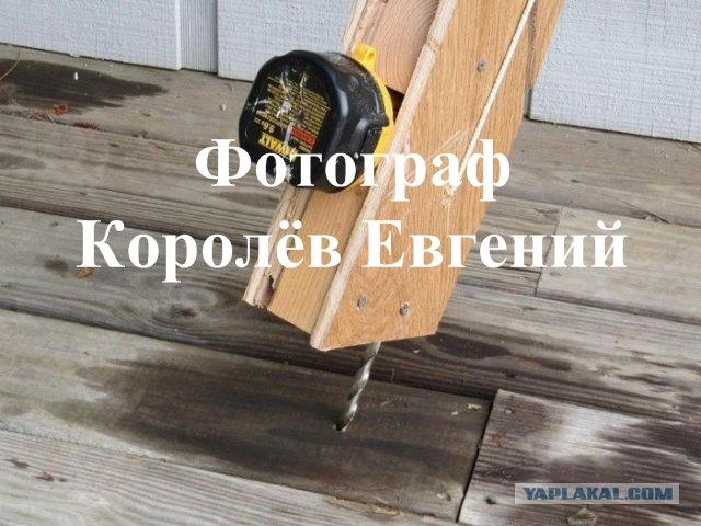 Массовое убийство и геноцид