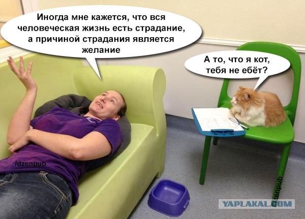 Очередные картинки
