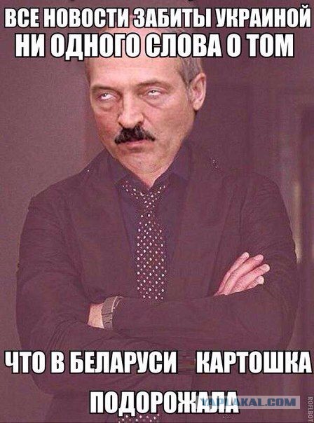 Политическая солянка #3