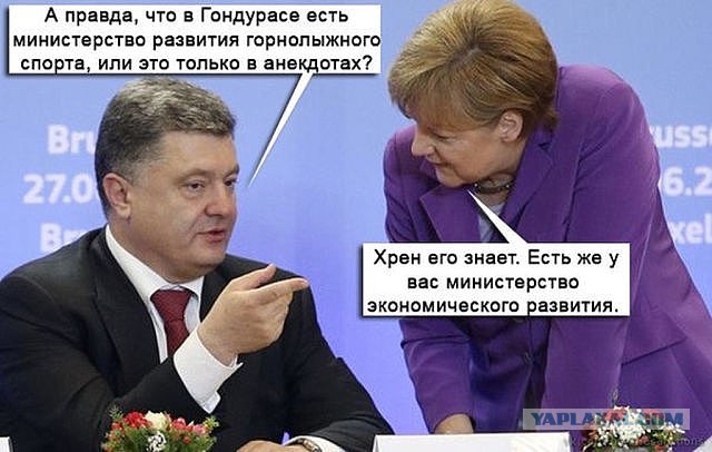 Солянка политическая #6