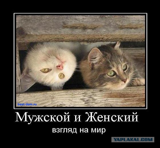 Дети врача