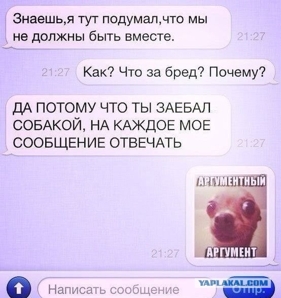 Смешные комментарии из социальных сетей