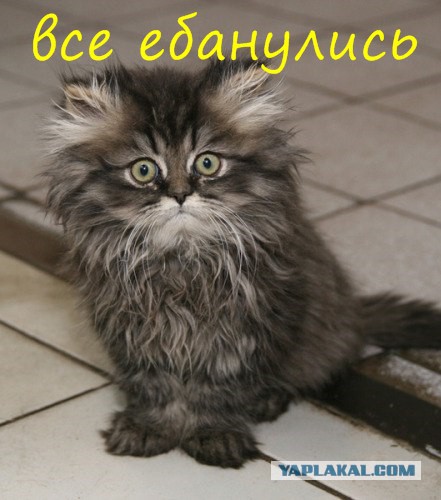 Меткий экскаватор