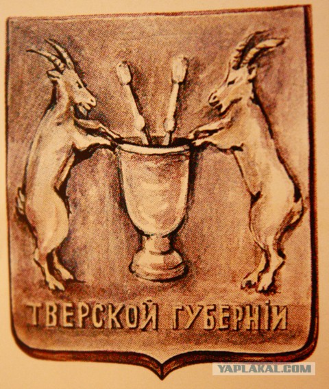 Тверская пенсионерка снесла детскую площадку